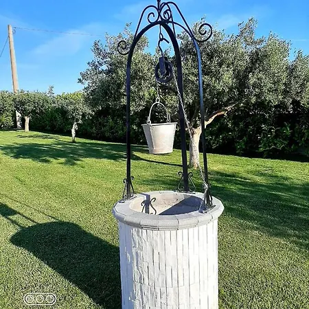 Il Mandorlo *